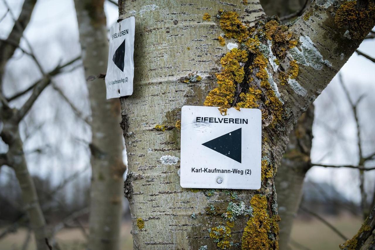 Eifel21 - Stilvolles Haus In Der Vulkaneifel Bleckhausen Kültér fotó
